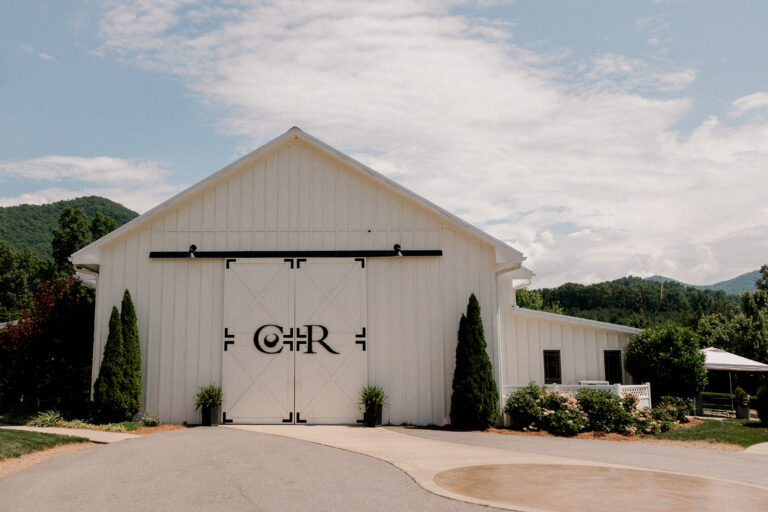 Blue Ridge Mountain backdrop at Chestnut Ridge wedding in Asheville