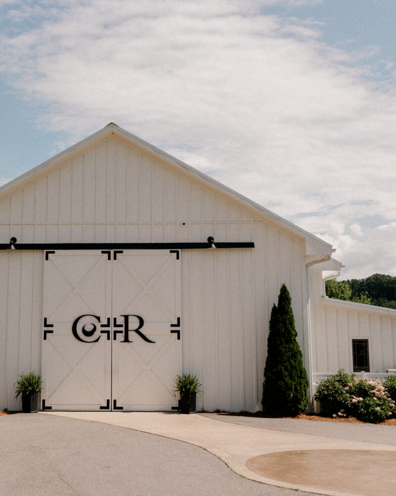 Blue Ridge Mountain backdrop at Chestnut Ridge wedding in Asheville