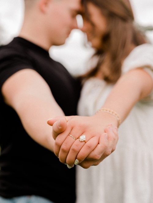 zanderproposal