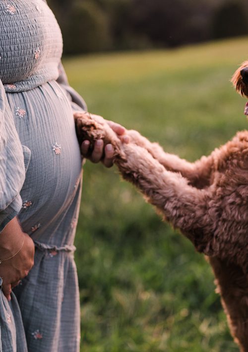 bethanyandjustinmaternity
